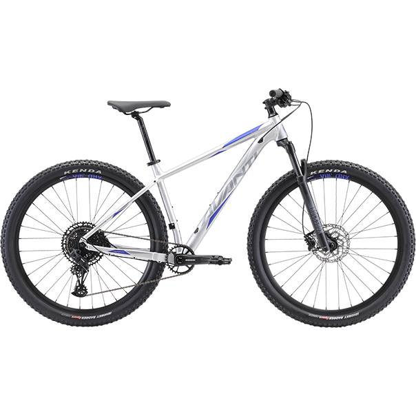 Avanti Competitor 2 Bike