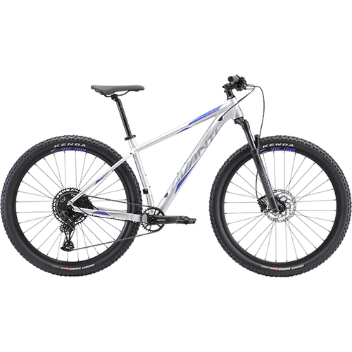 Avanti Competitor 2 Bike
